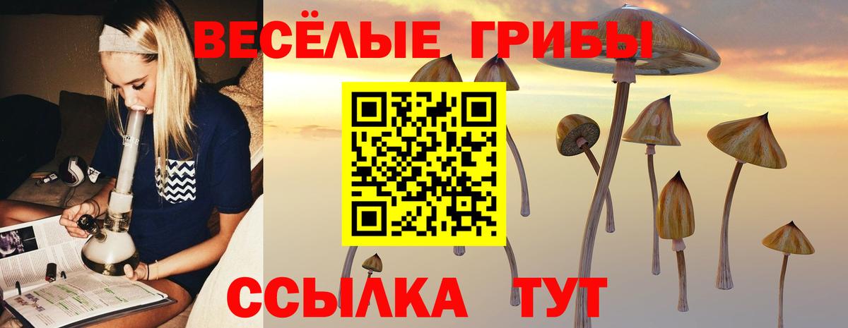 Псилоцибиновые грибы GOLDEN TEACHER Мирный